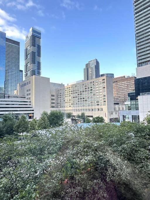 Best Location In Downtown- Walking To Eaton Centre, Nathan Phillips Square, Yonge-Dundas, Ikea,Transit Toronto Kültér fotó